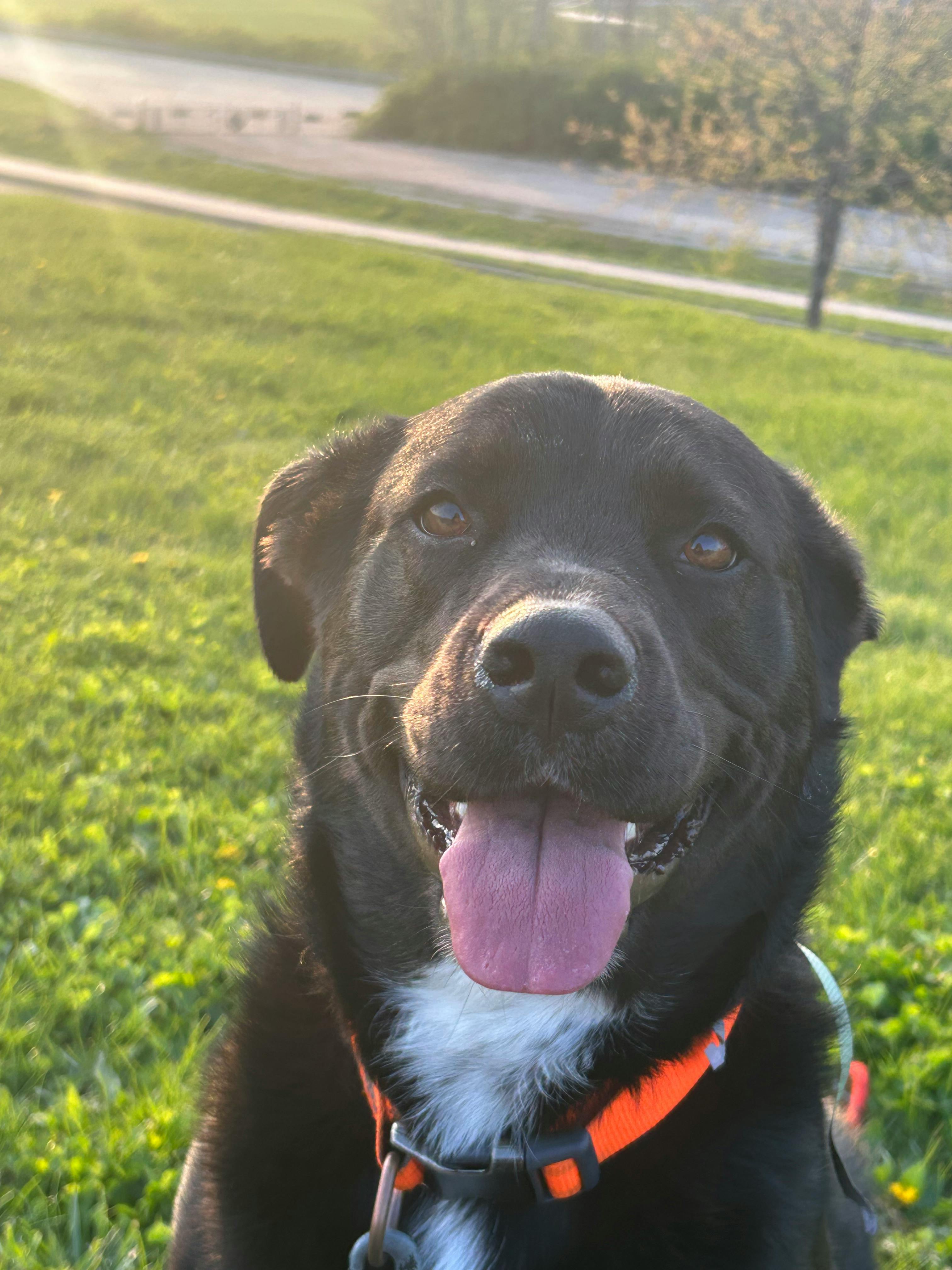 user avatar image for Cecilia Alcala