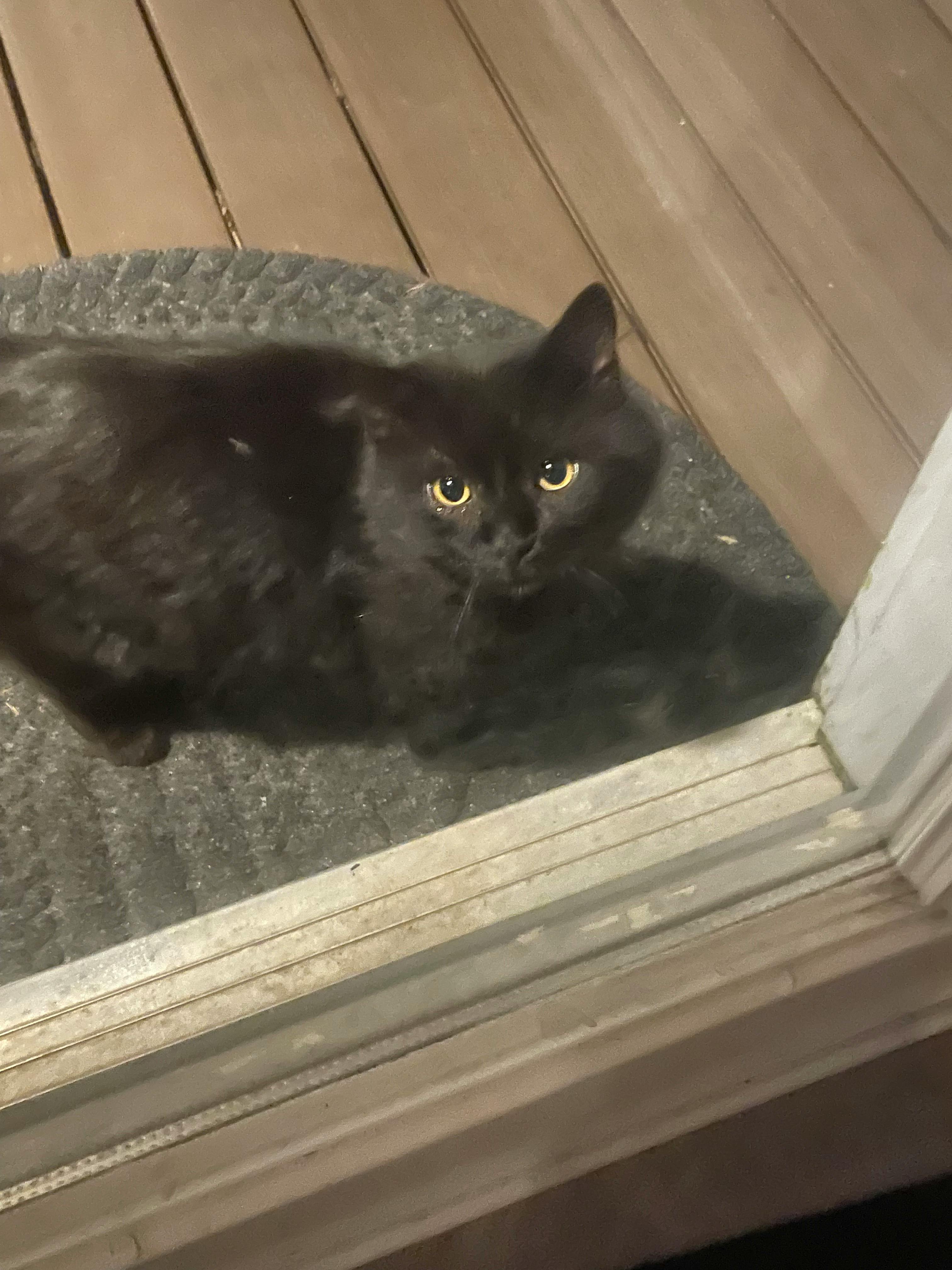 user avatar image for Steph