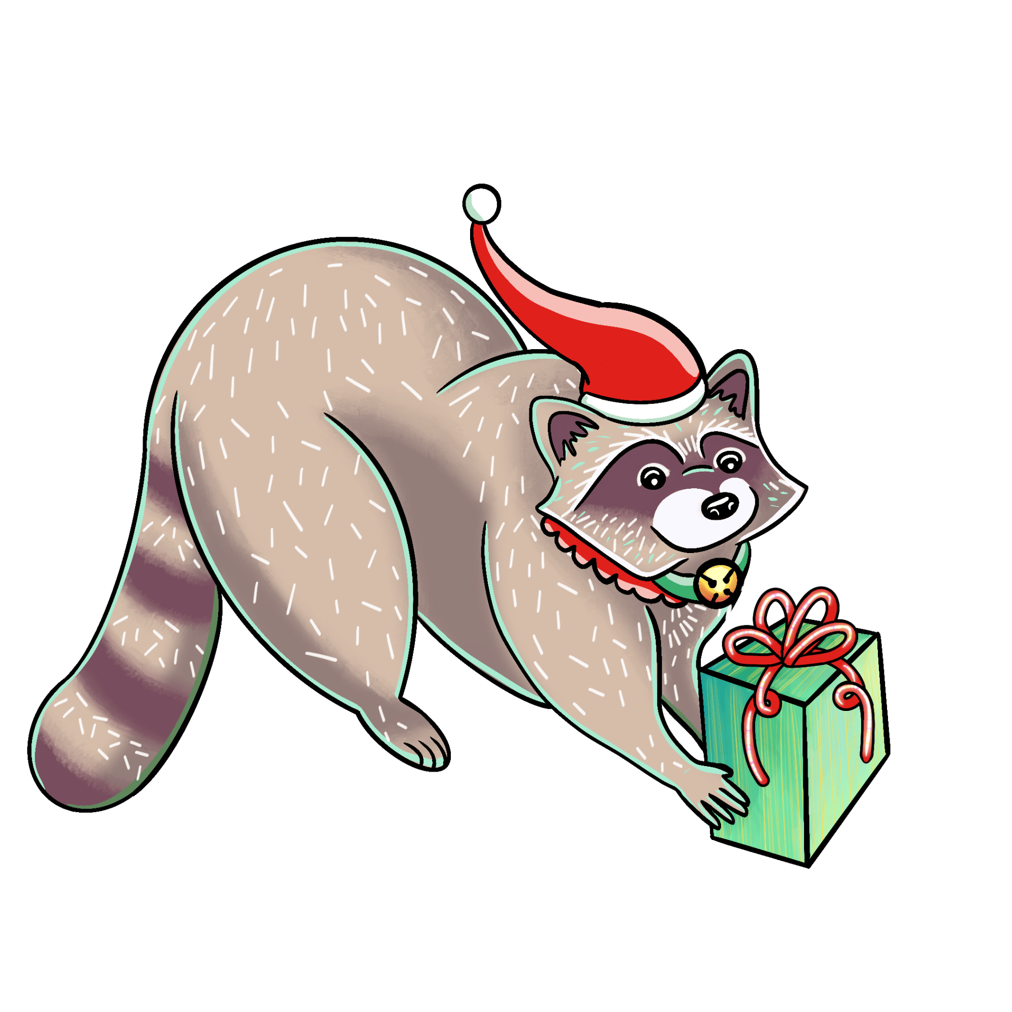 Raccoon