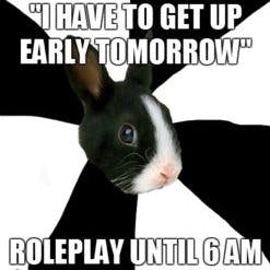 user avatar image for Elizabeth Ruifrok