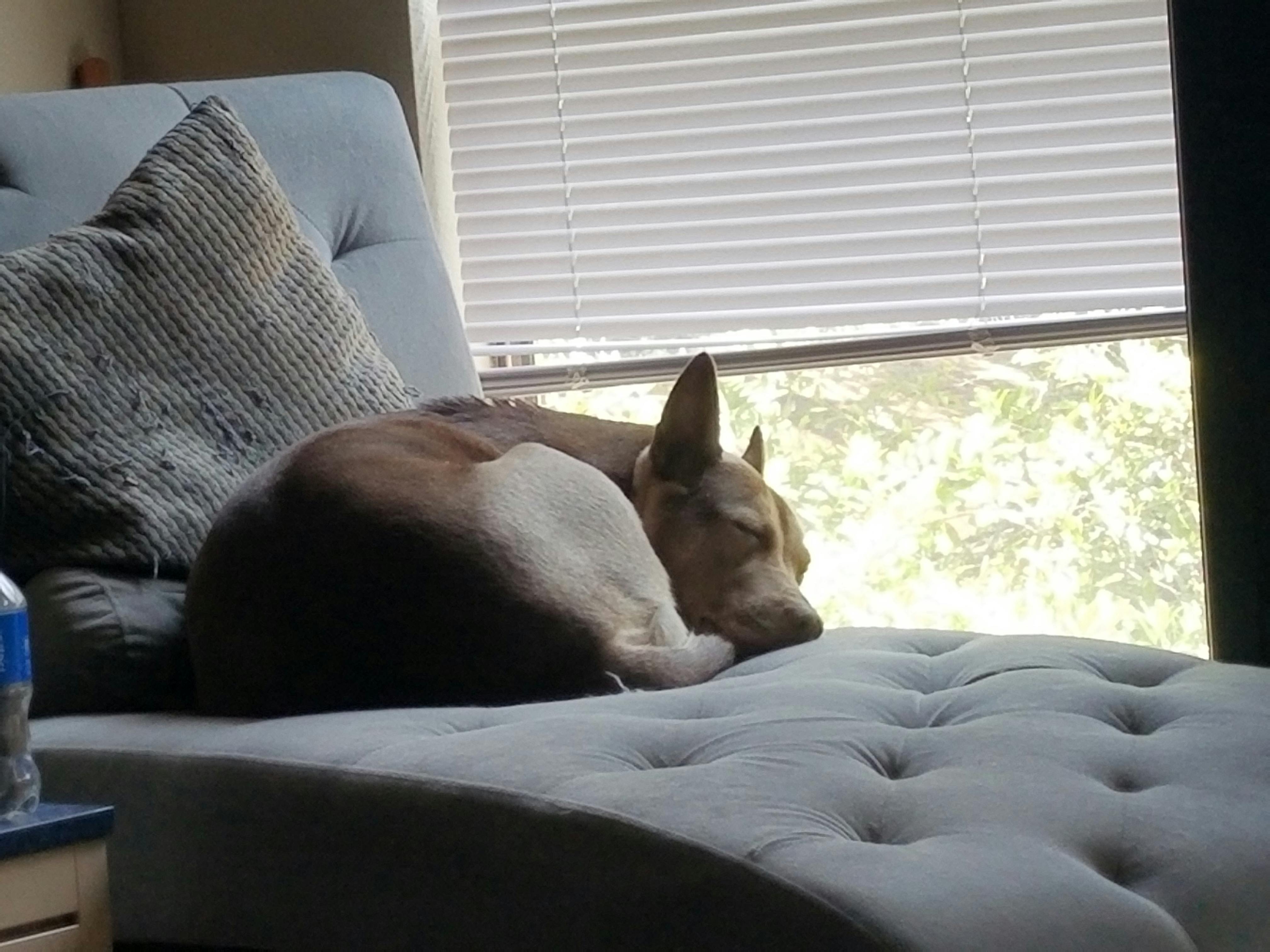 user avatar image for Gianna