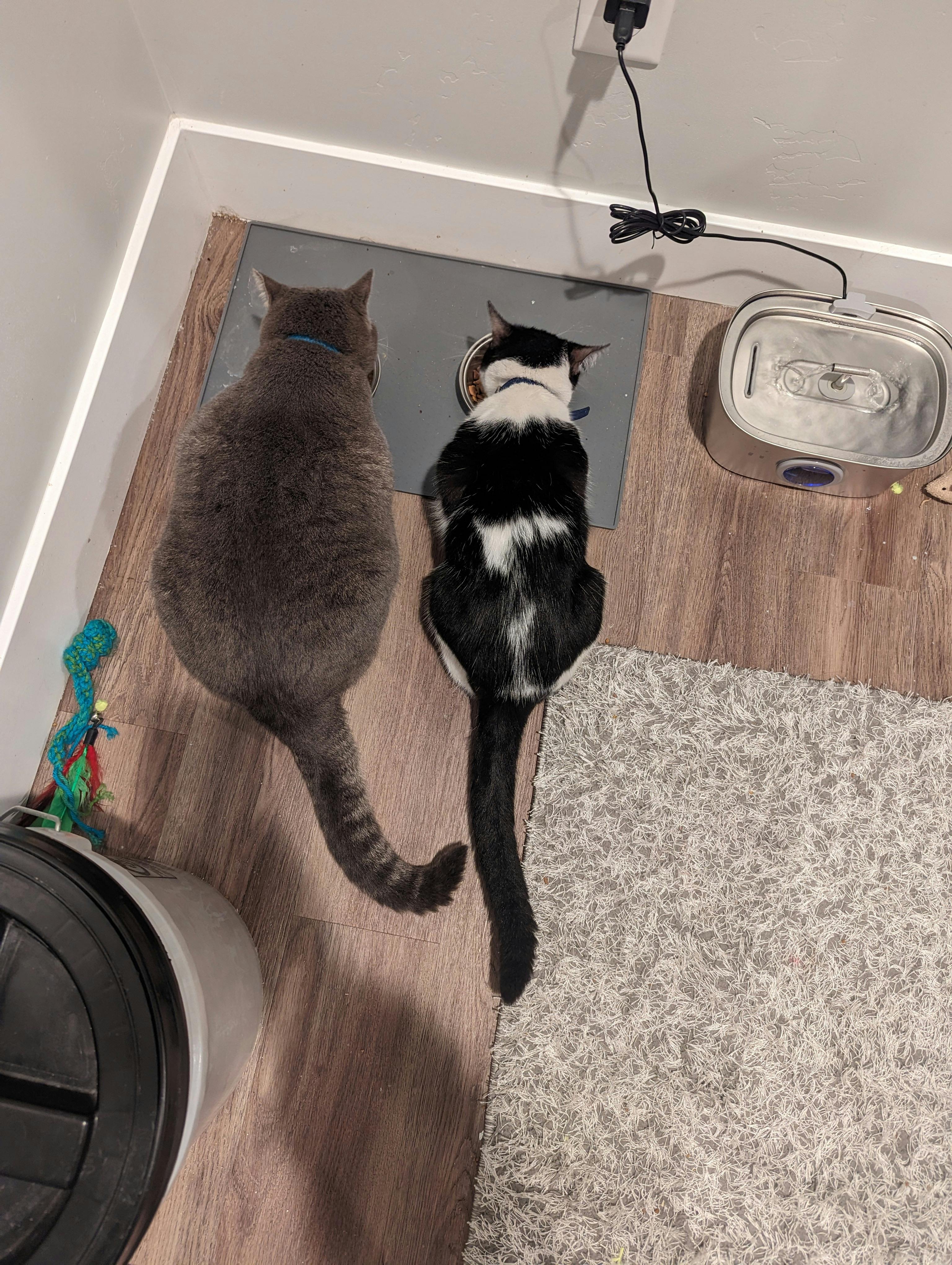 user avatar image for Slylynn