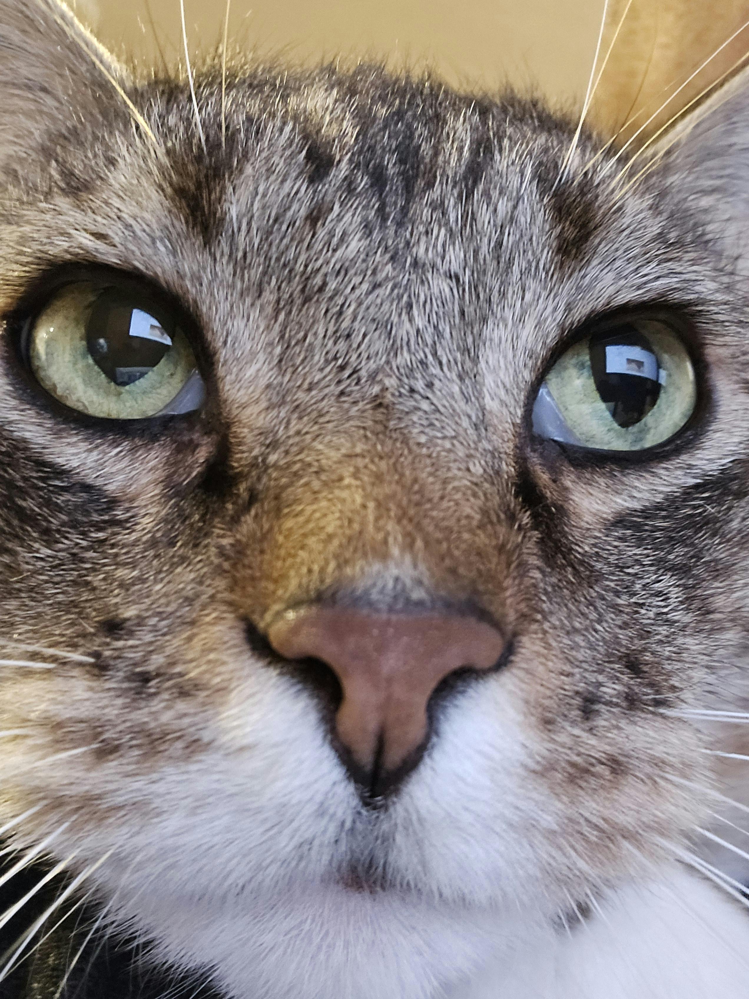 user avatar image for ShinKenshi