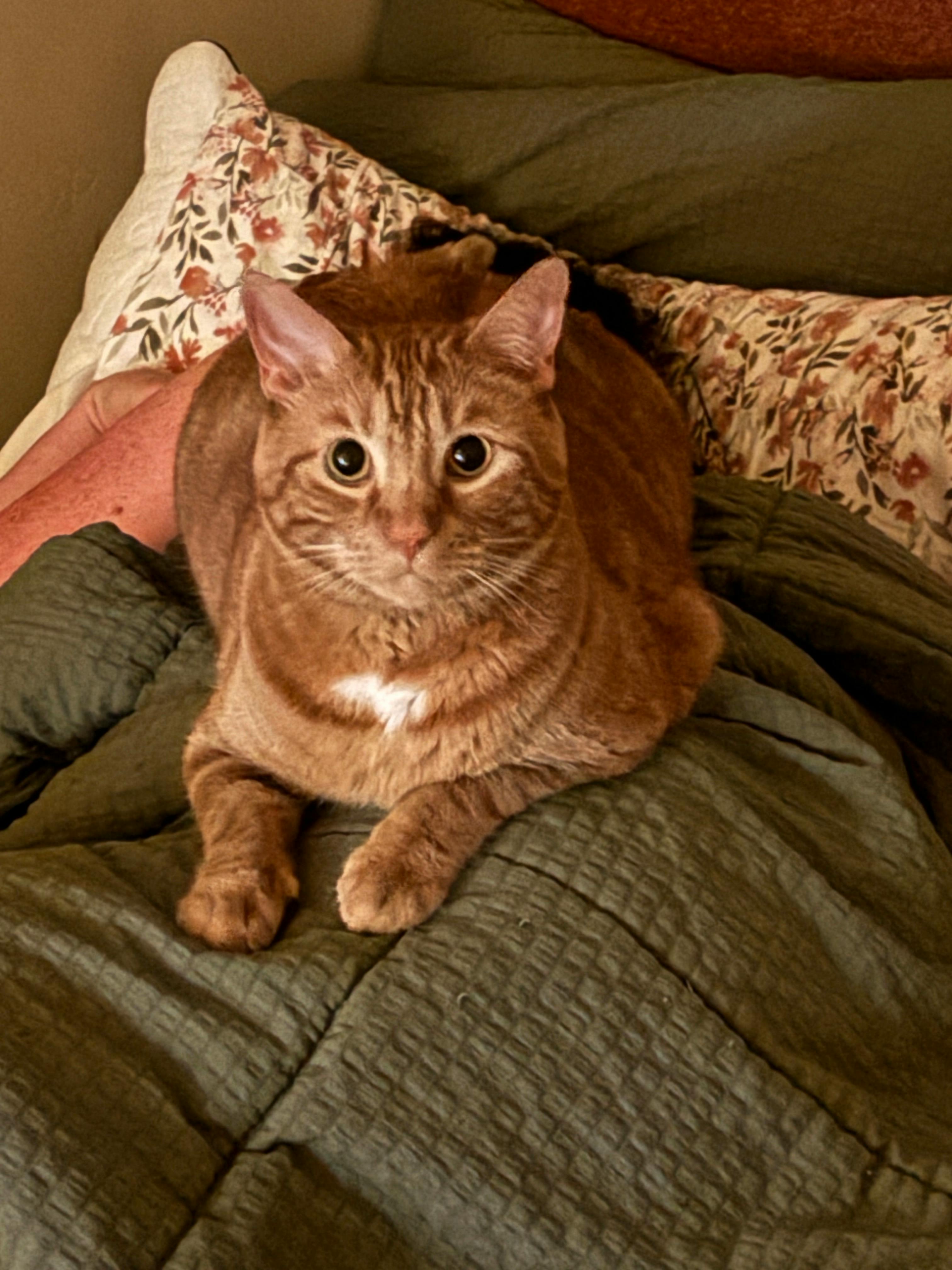 user avatar image for Cory