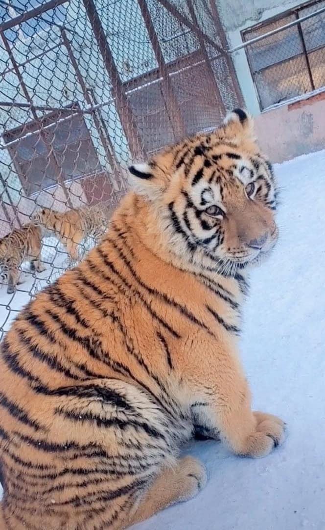 user avatar image for Kitty Ahrens