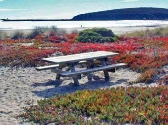 user avatar image for SkellyGirl