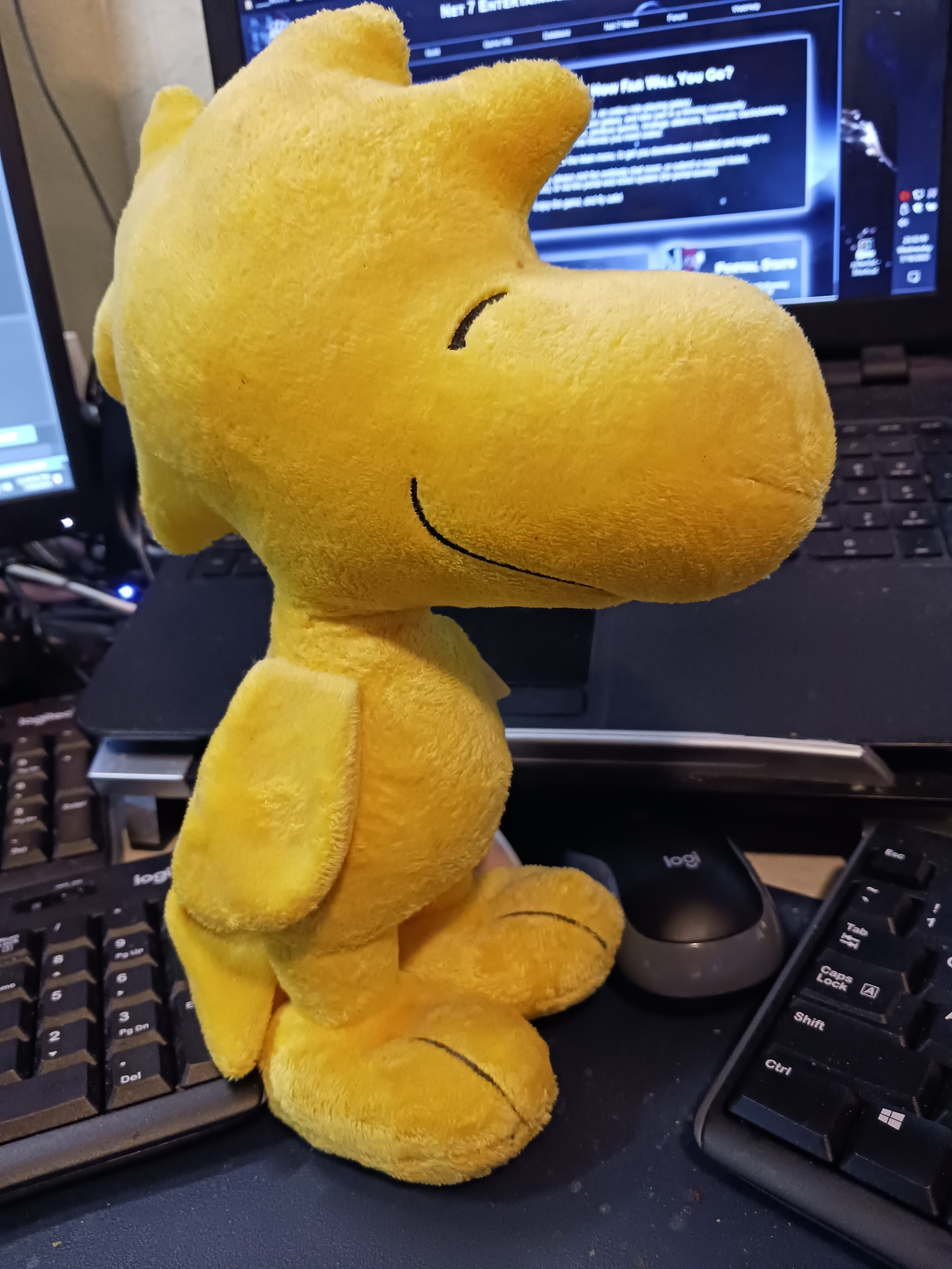 user avatar image for David Wood