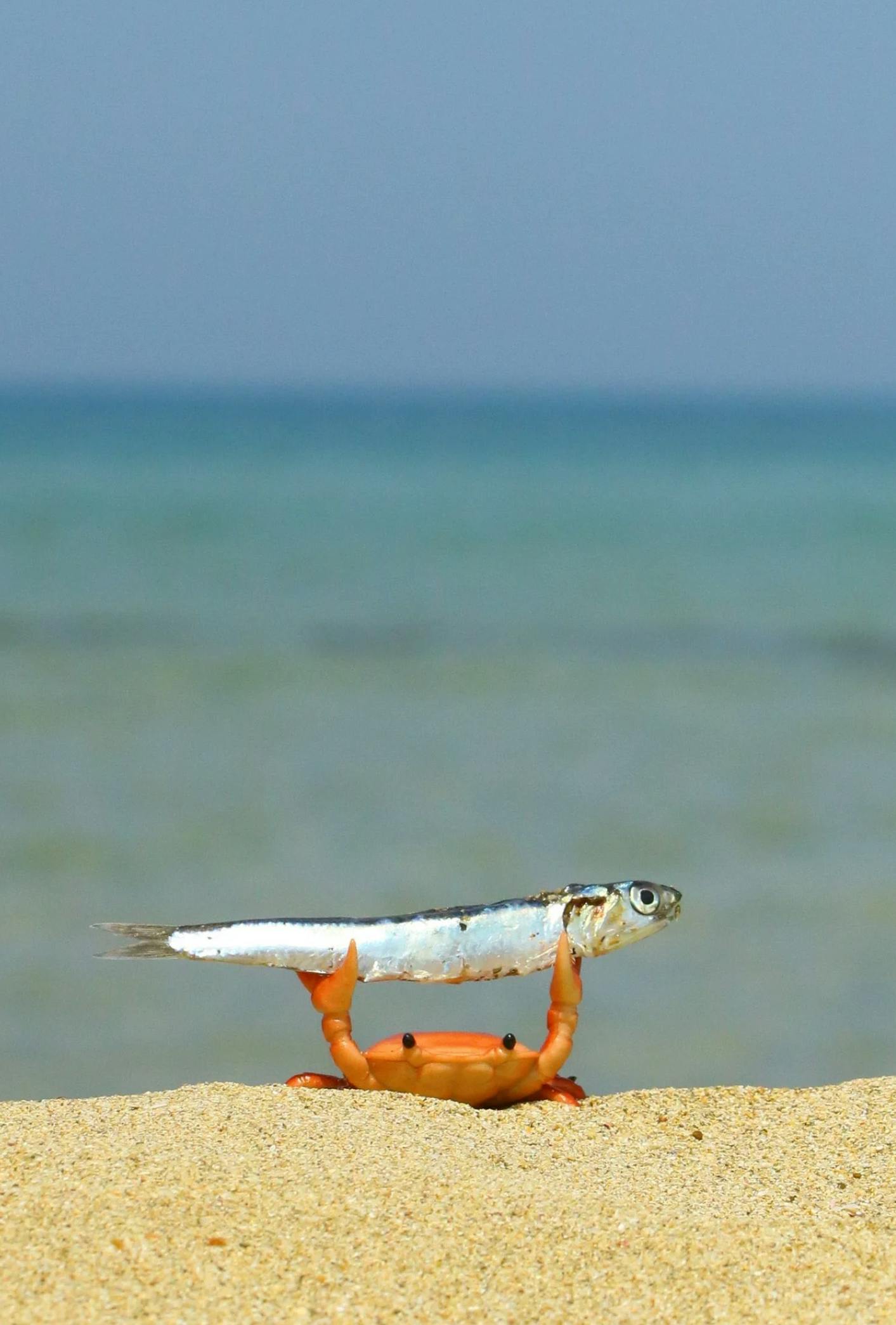 user avatar image for Nicka