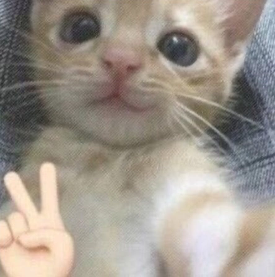 user avatar image for Bryan P