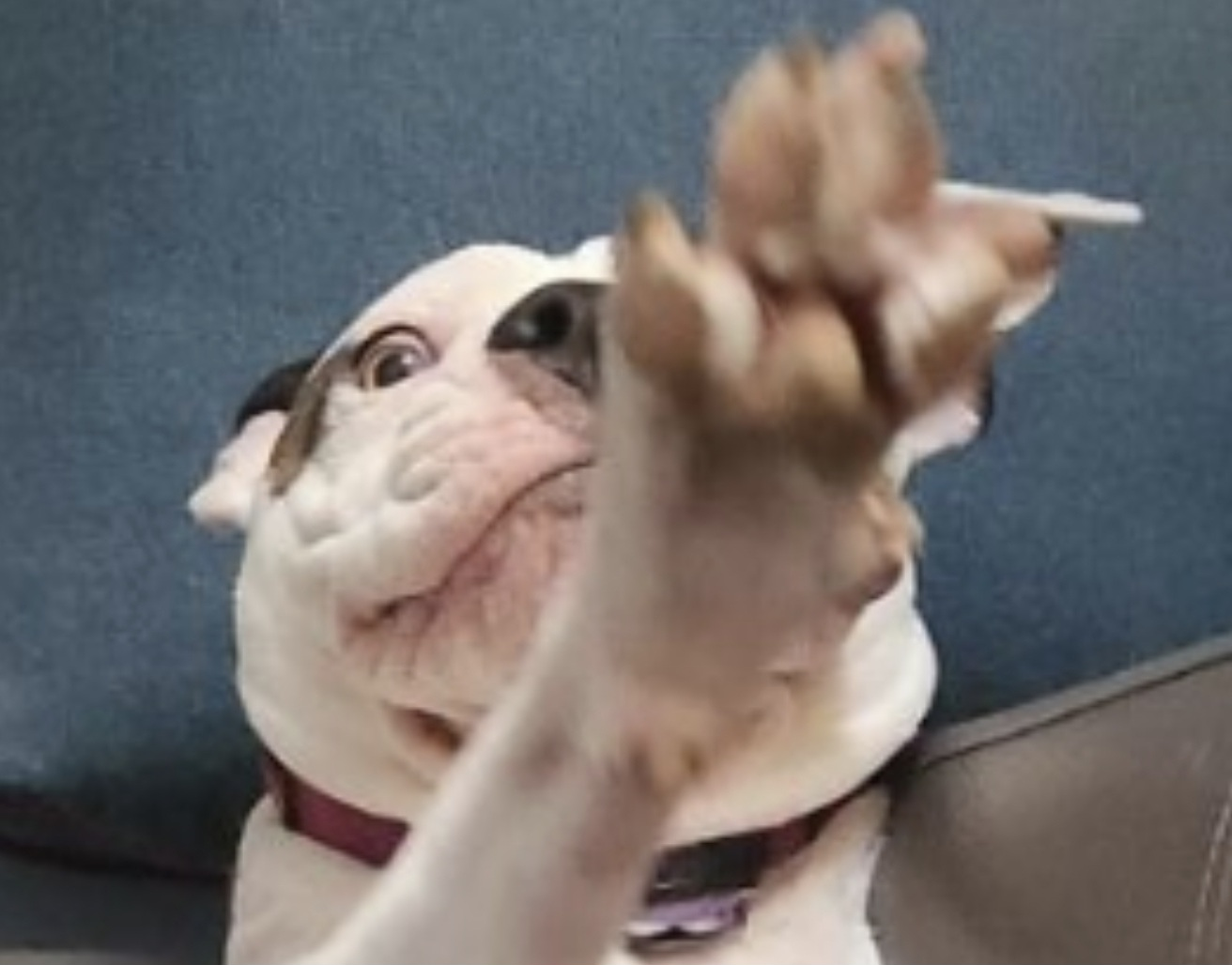 user avatar image for Derek Briere