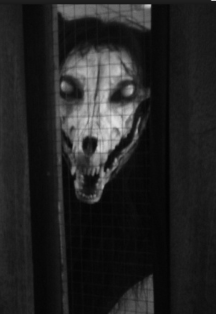 user avatar image for Wilderbeast 