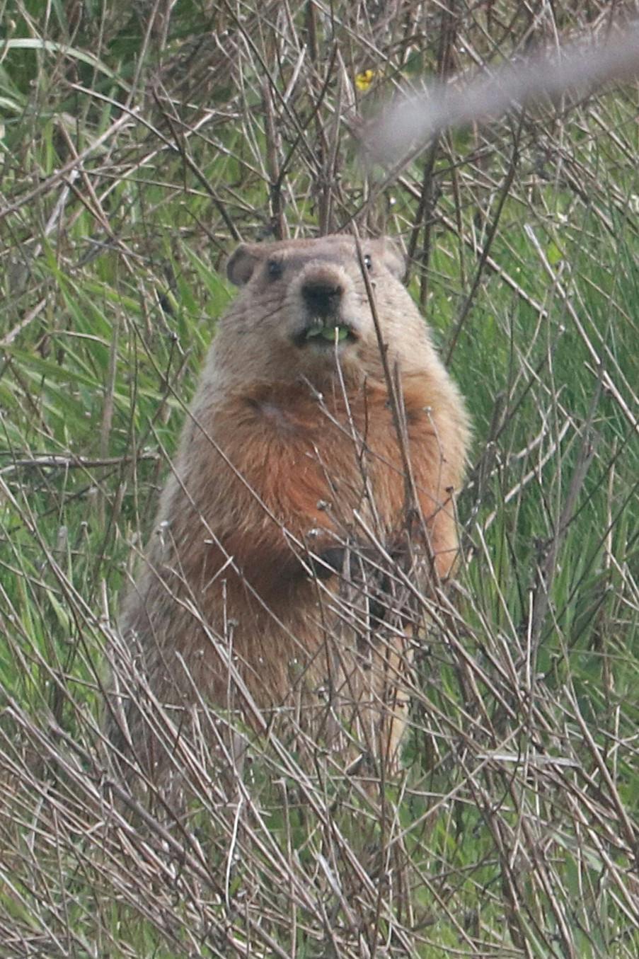 user avatar image for Rina