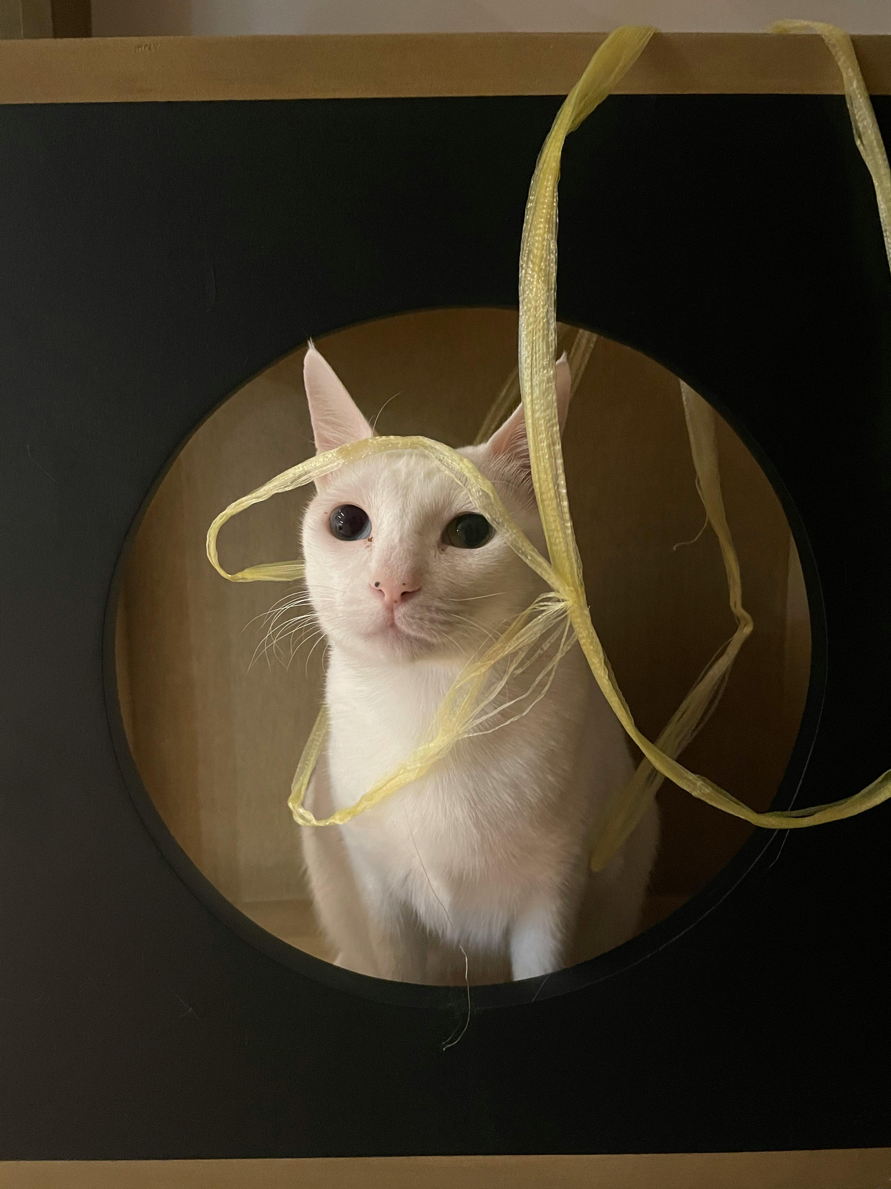 user avatar image for Beramonde