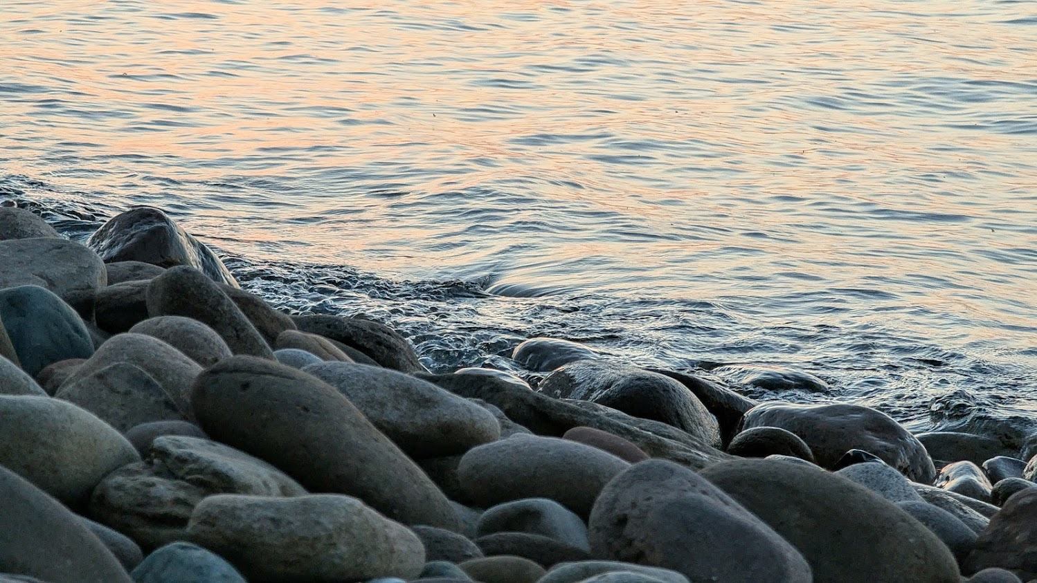 user avatar image for Jeanette