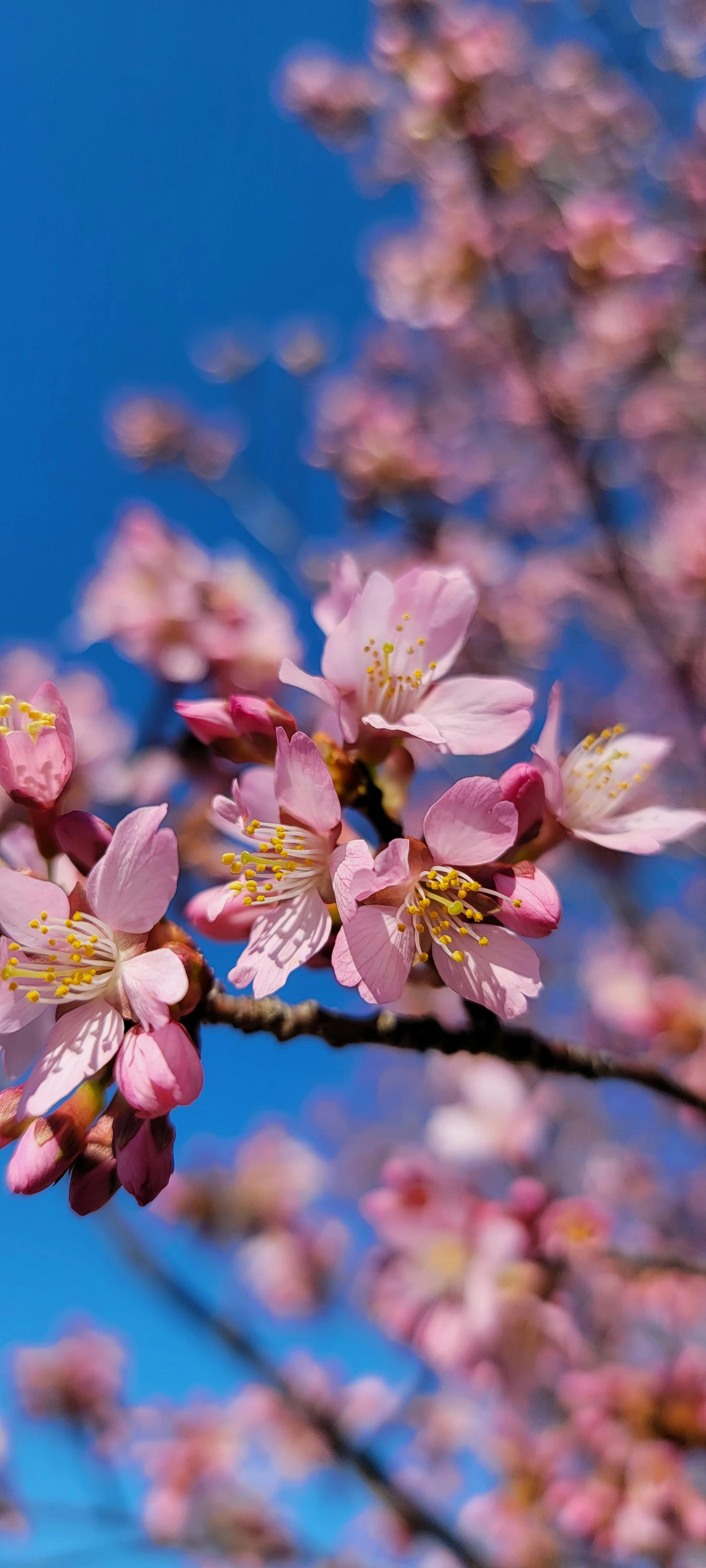 user avatar image for Lindsay