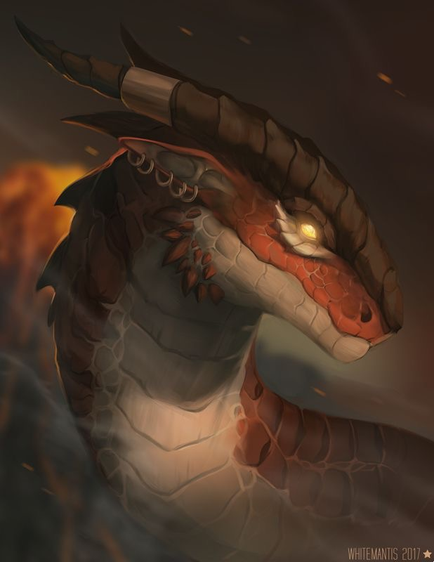user avatar image for Tony