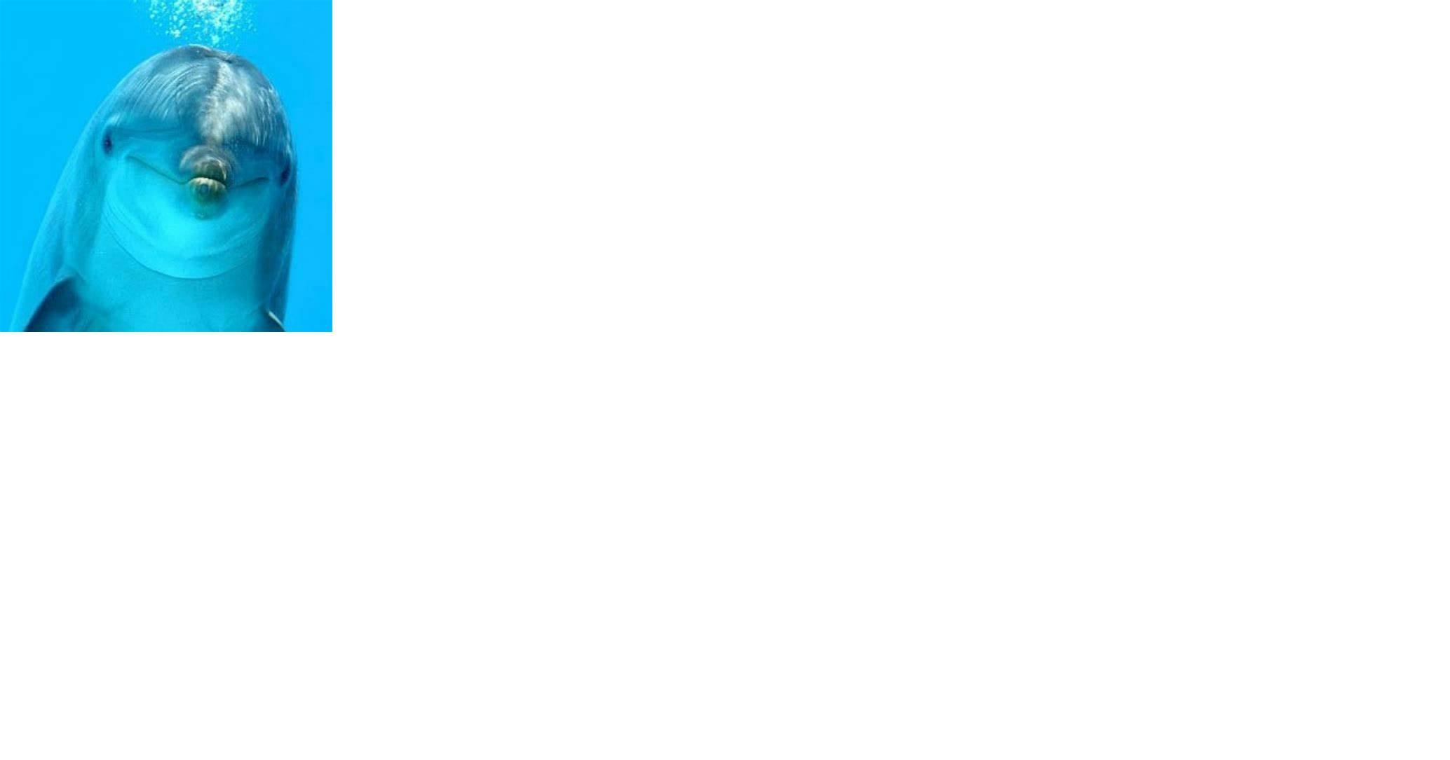 user avatar image for Todd Williams