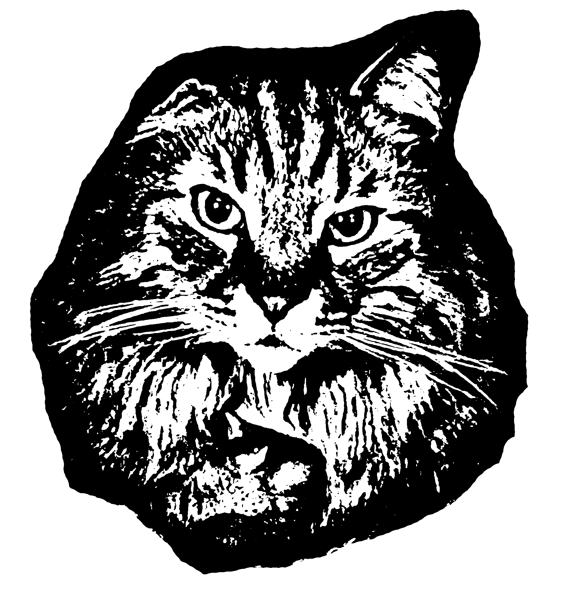 user avatar image for Daniel R Curtis