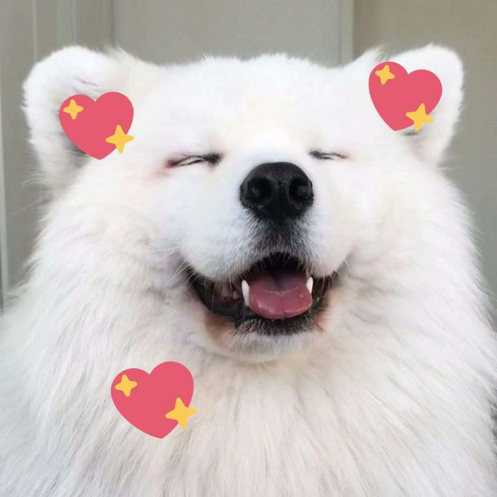 user avatar image for Bloou