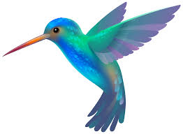 user avatar image for Neva Crandall