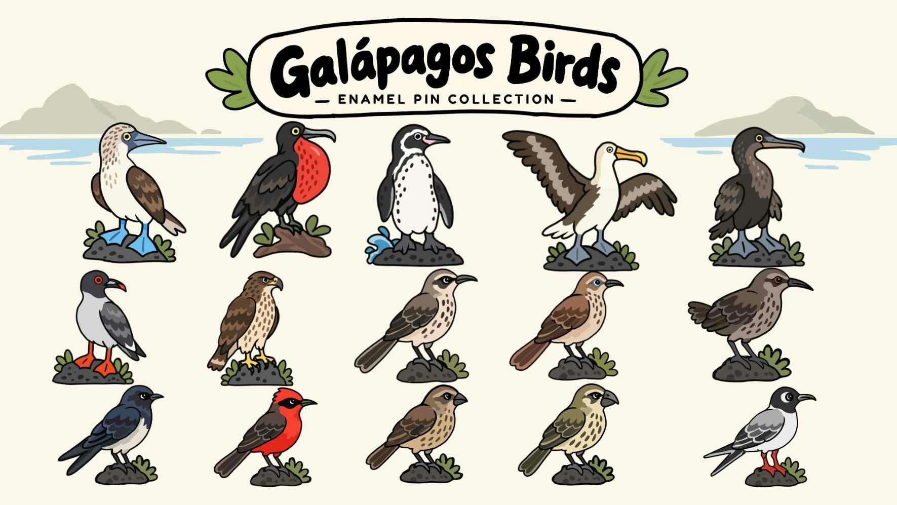 Galápagos Birds - A Collection of Enamel Pins