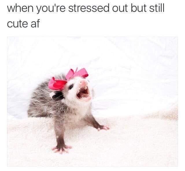 user avatar image for J Wheeler 