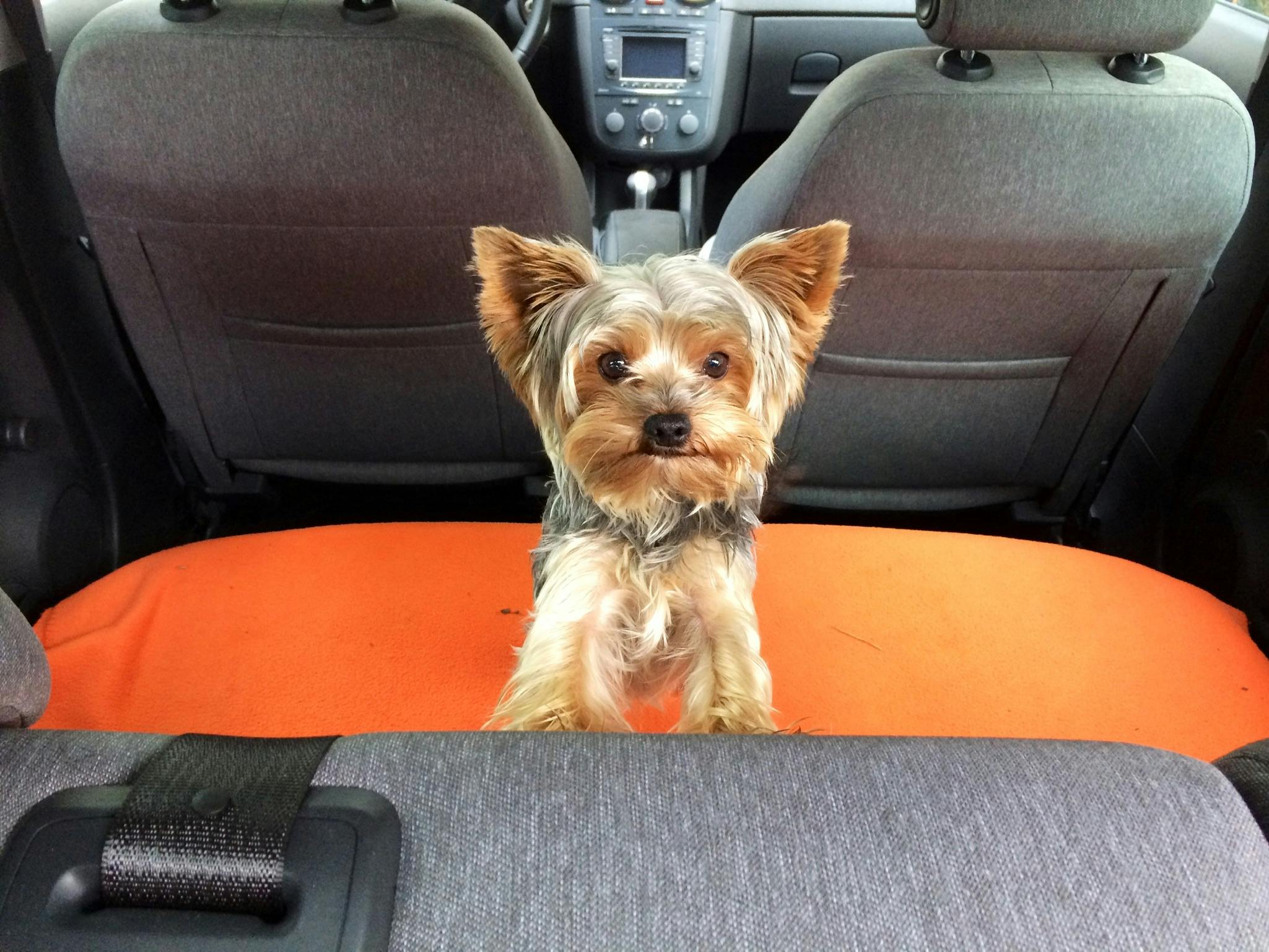 user avatar image for Danny Rodewald