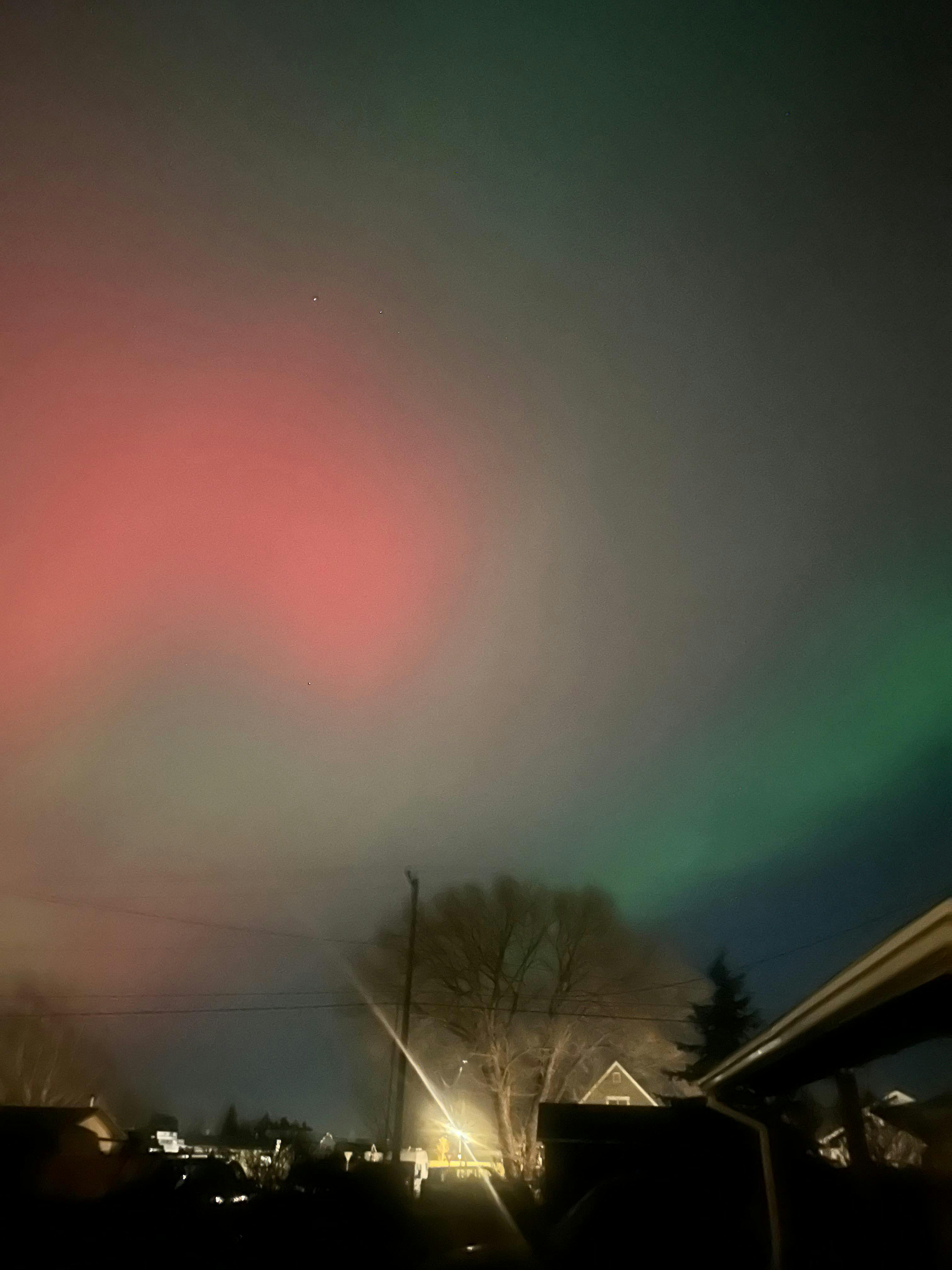 user avatar image for Violet Heart