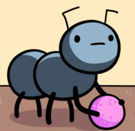 user avatar image for Steve