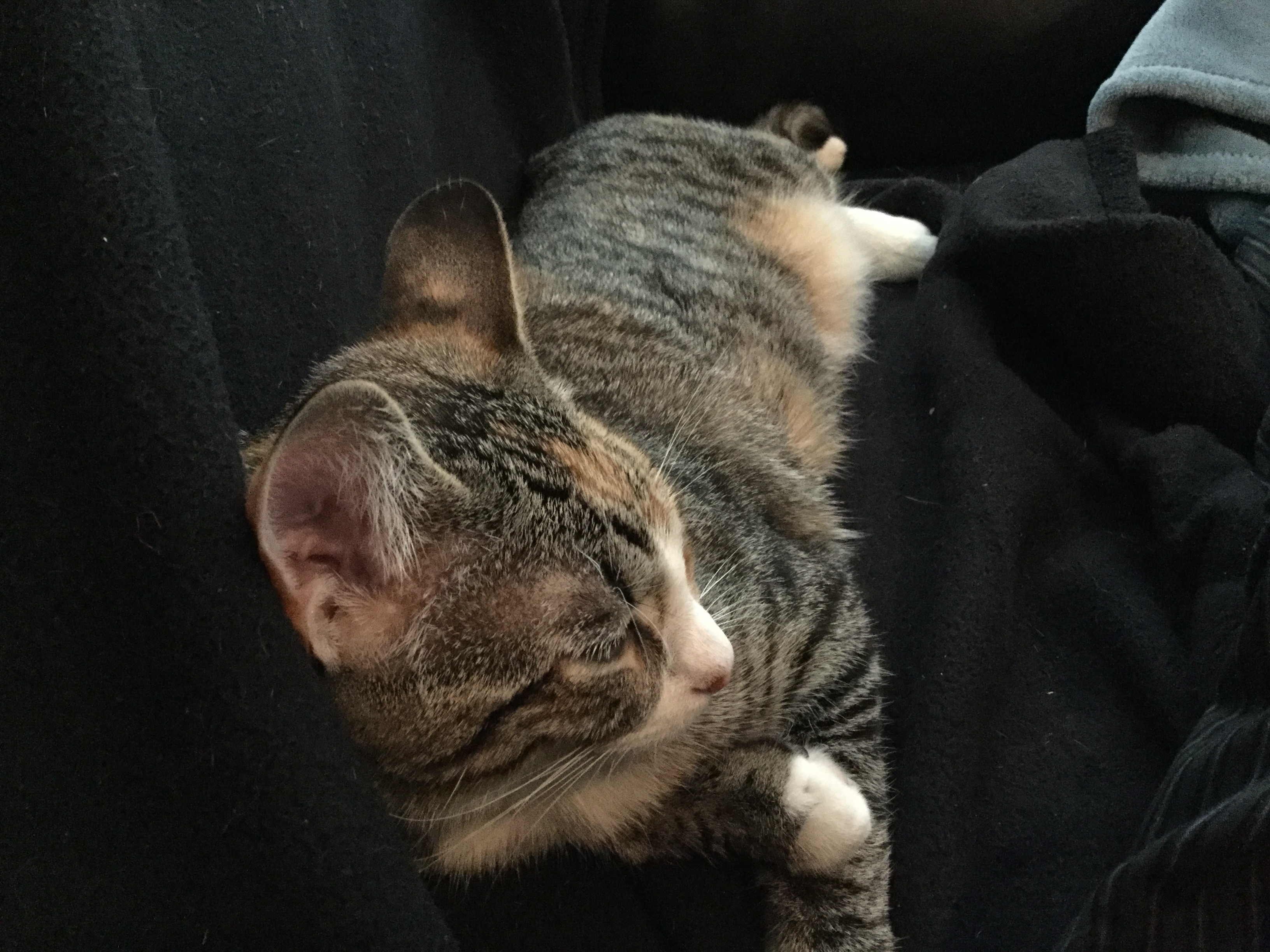 user avatar image for Jonathon