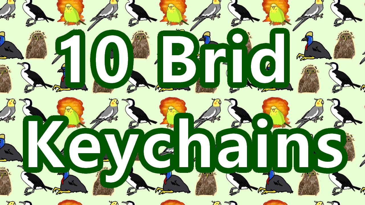 10 Brid Keychains