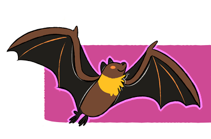 Flying Fox