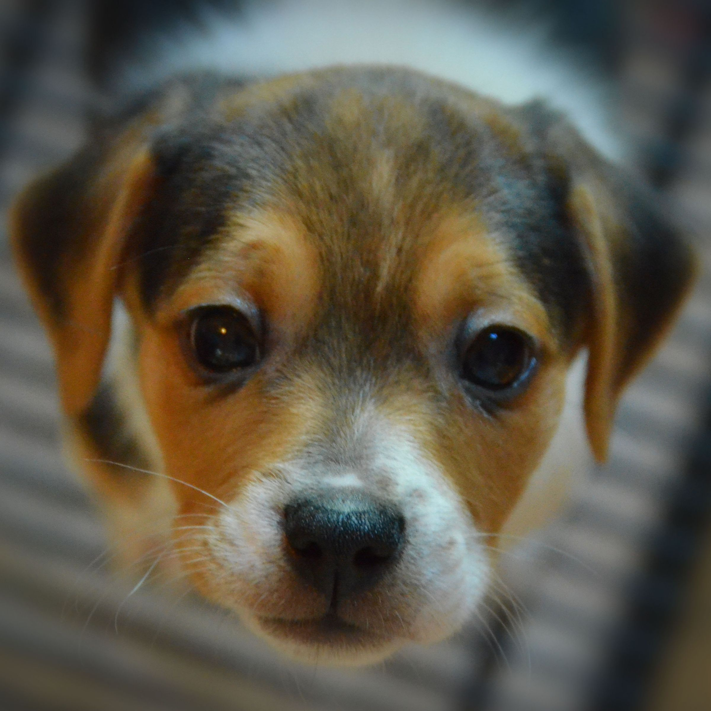 user avatar image for Kevin