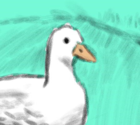user avatar image for Duck Enjoyer