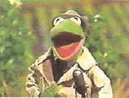user avatar image for Reporter Kermit