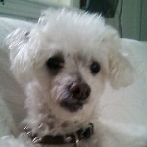 user avatar image for MorningCrickets