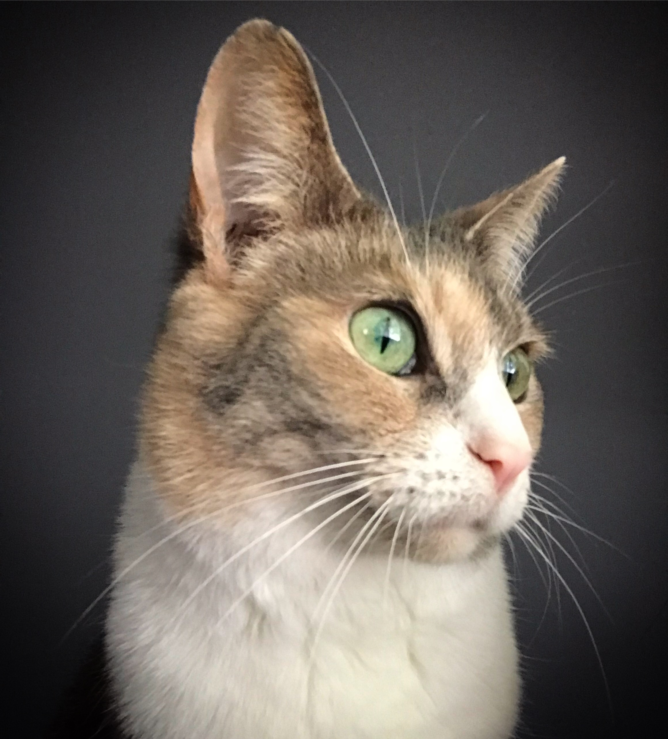 user avatar image for Caitie