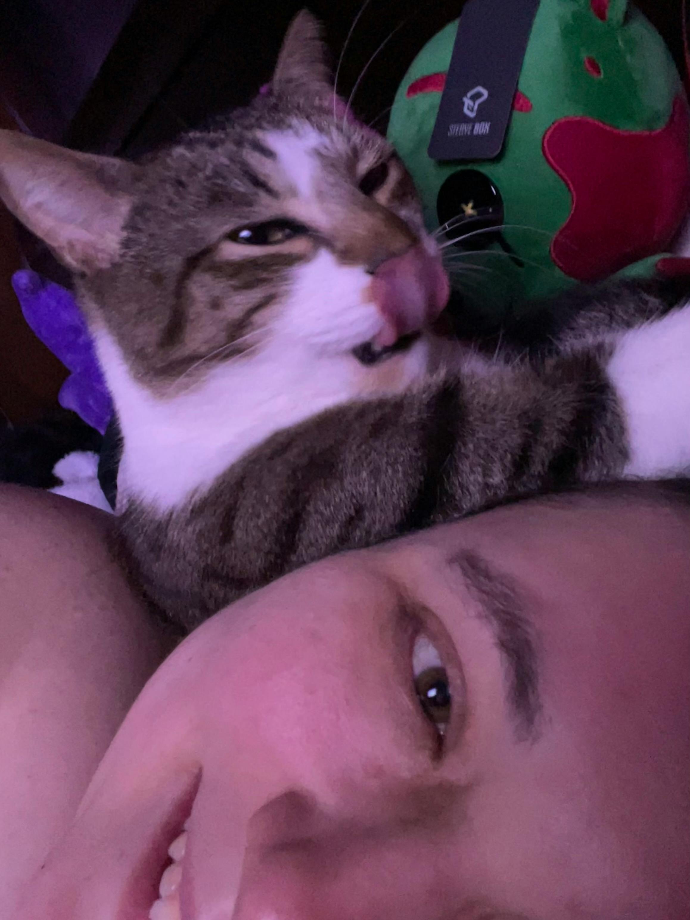 user avatar image for Ash