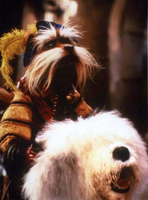 user avatar image for Sir Didymus