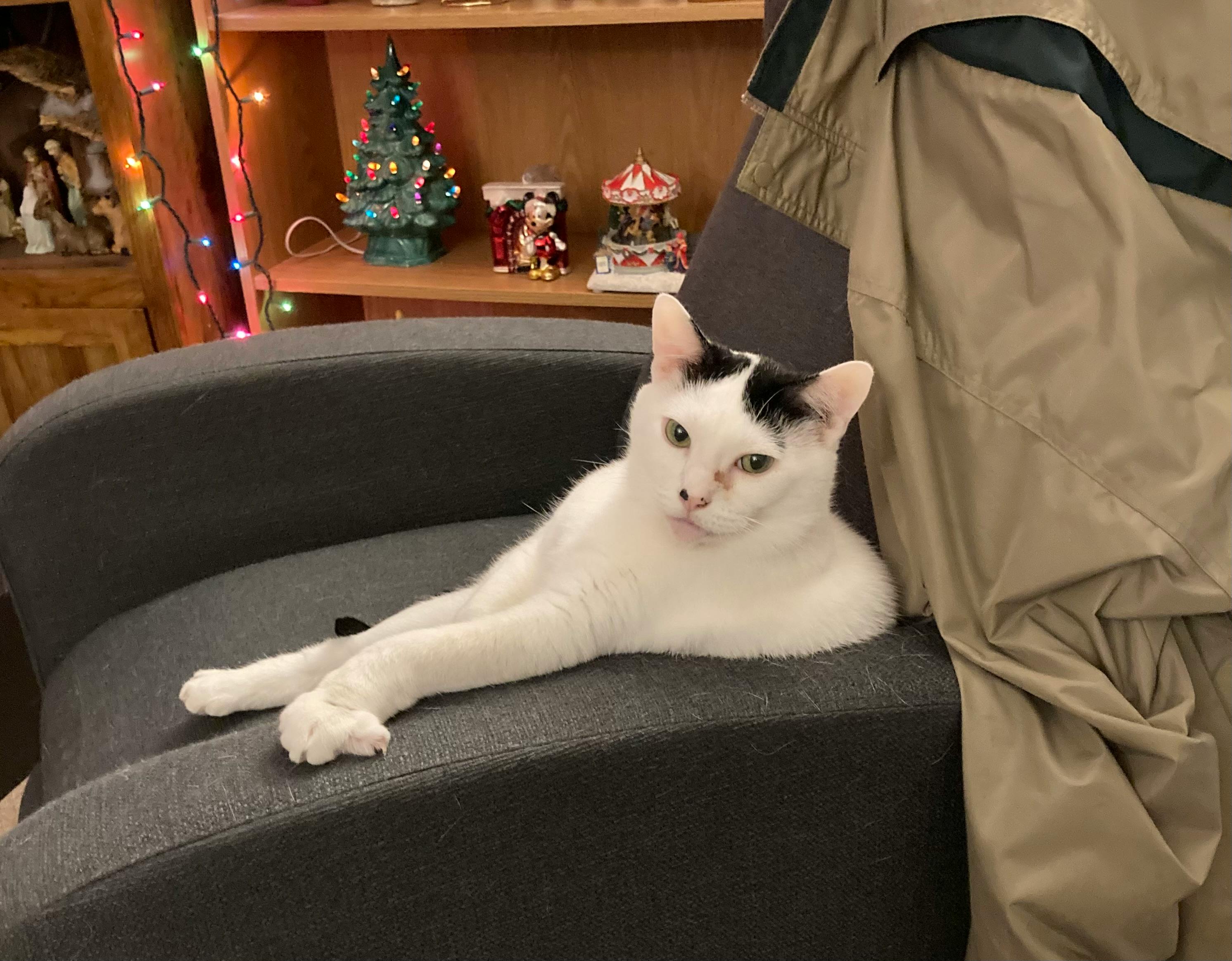 user avatar image for Brthrdom 