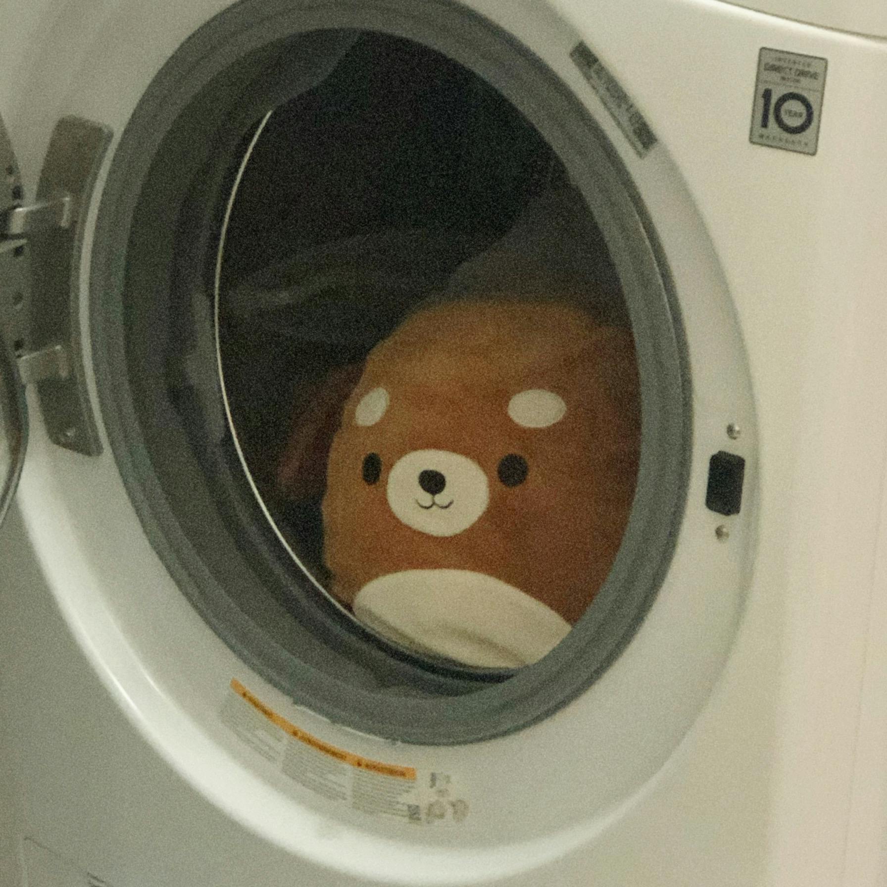 user avatar image for Phoebe