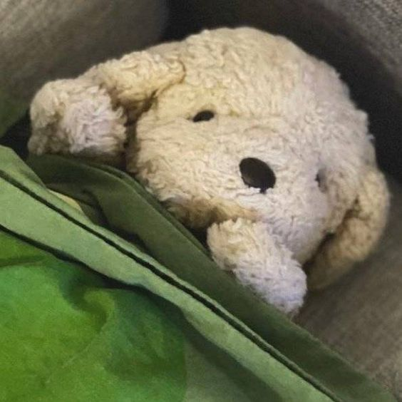 user avatar image for arlo