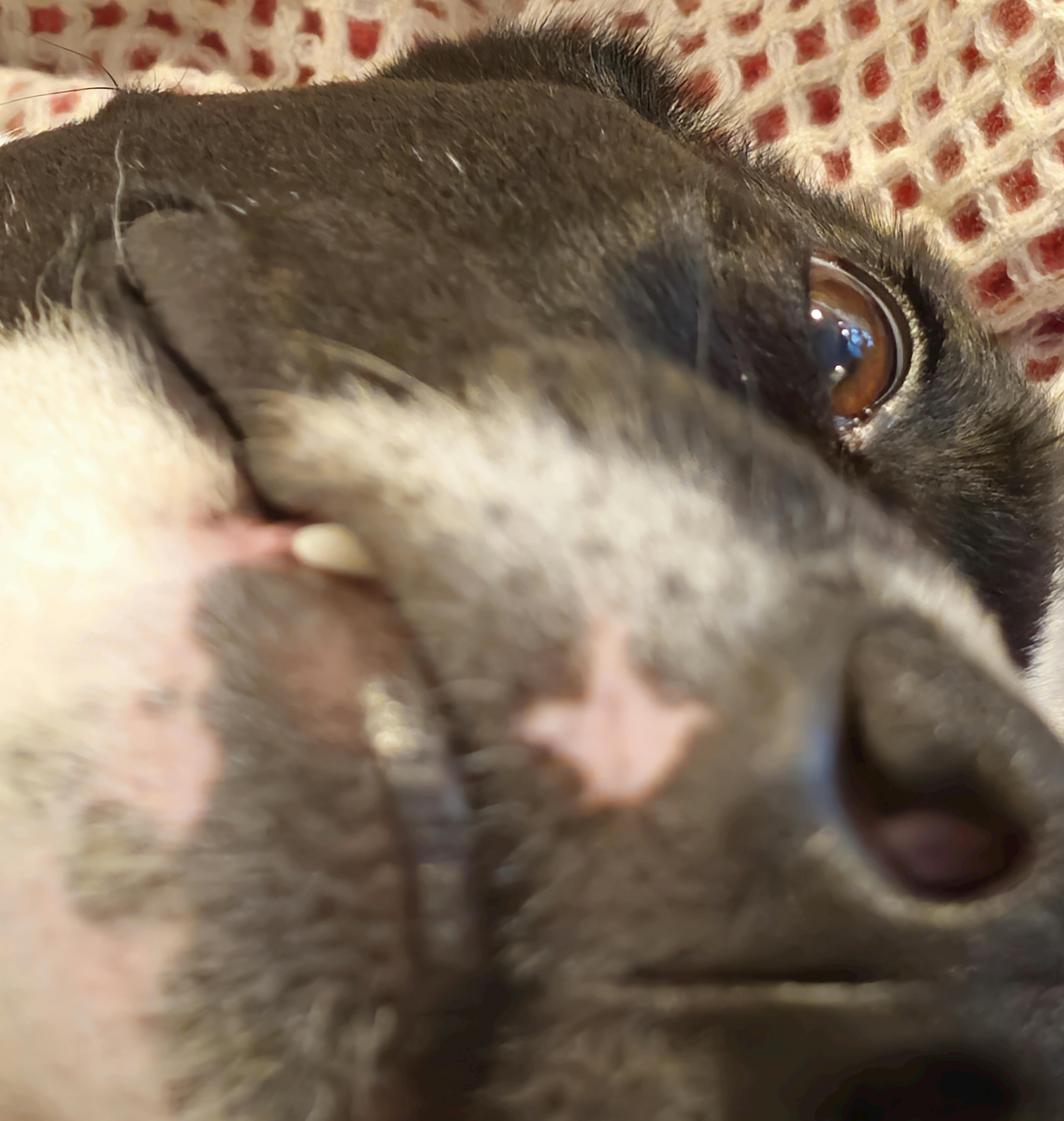 user avatar image for J. K.