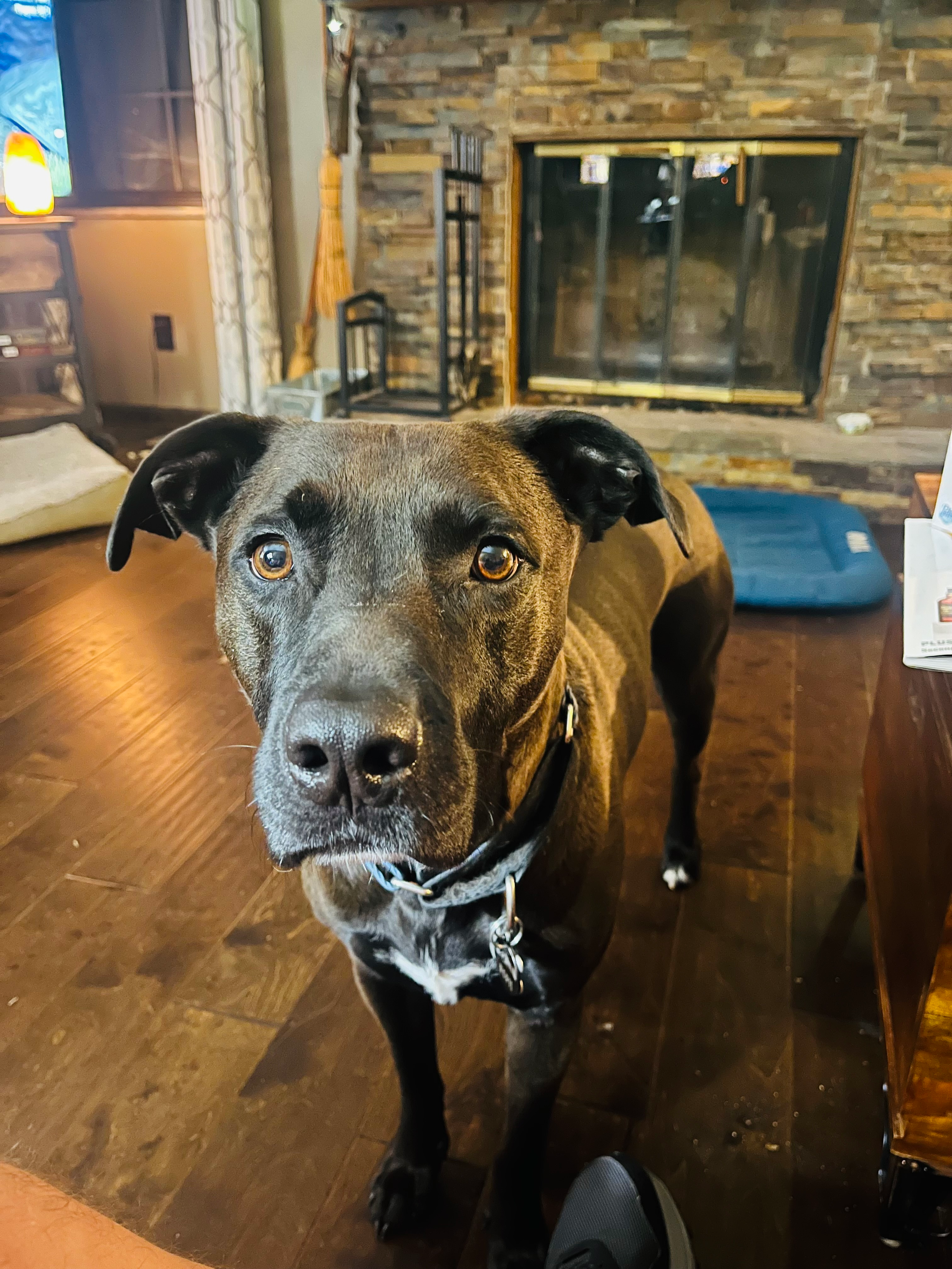 user avatar image for Jeff Broemmel