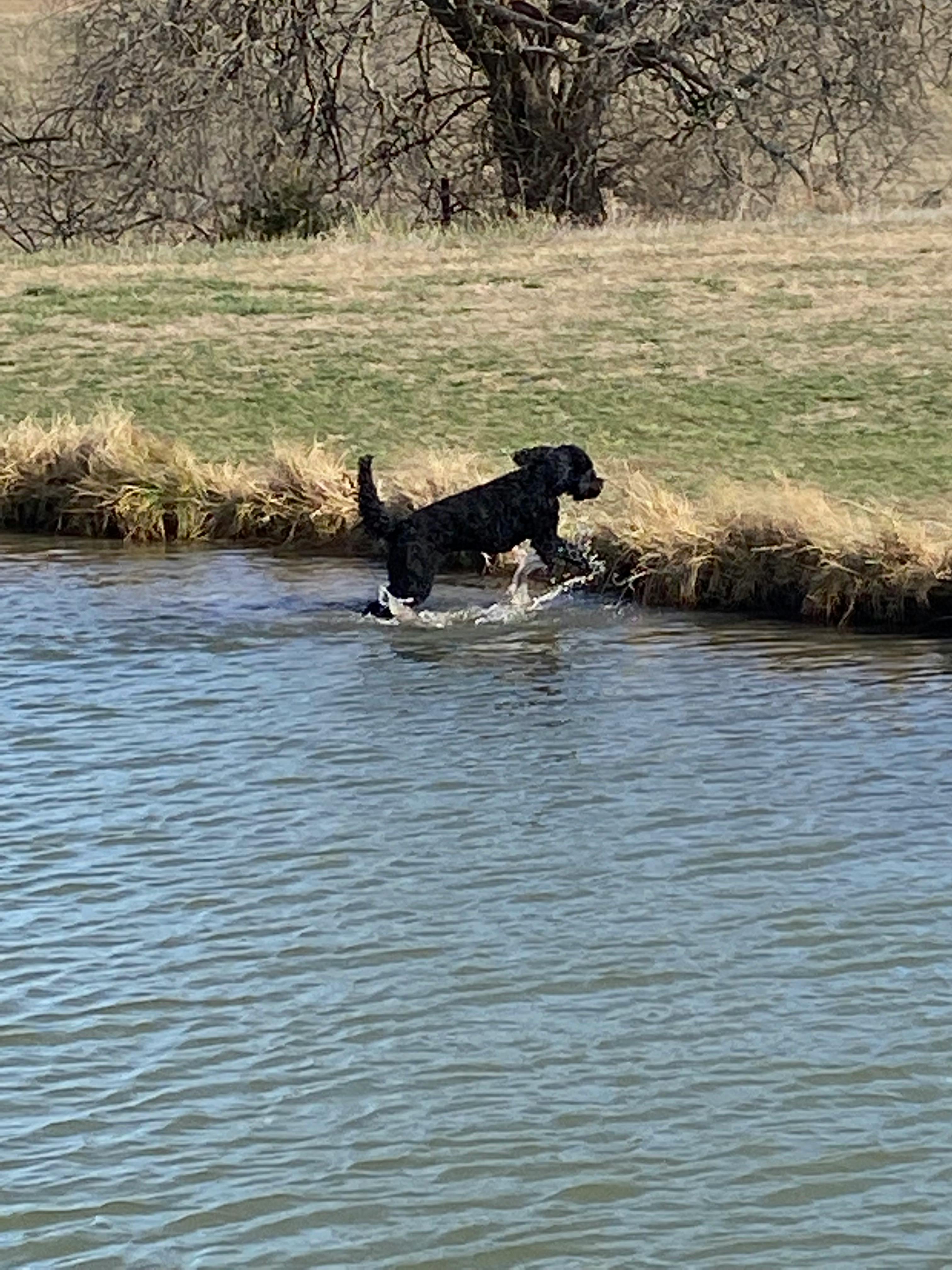 user avatar image for Austin