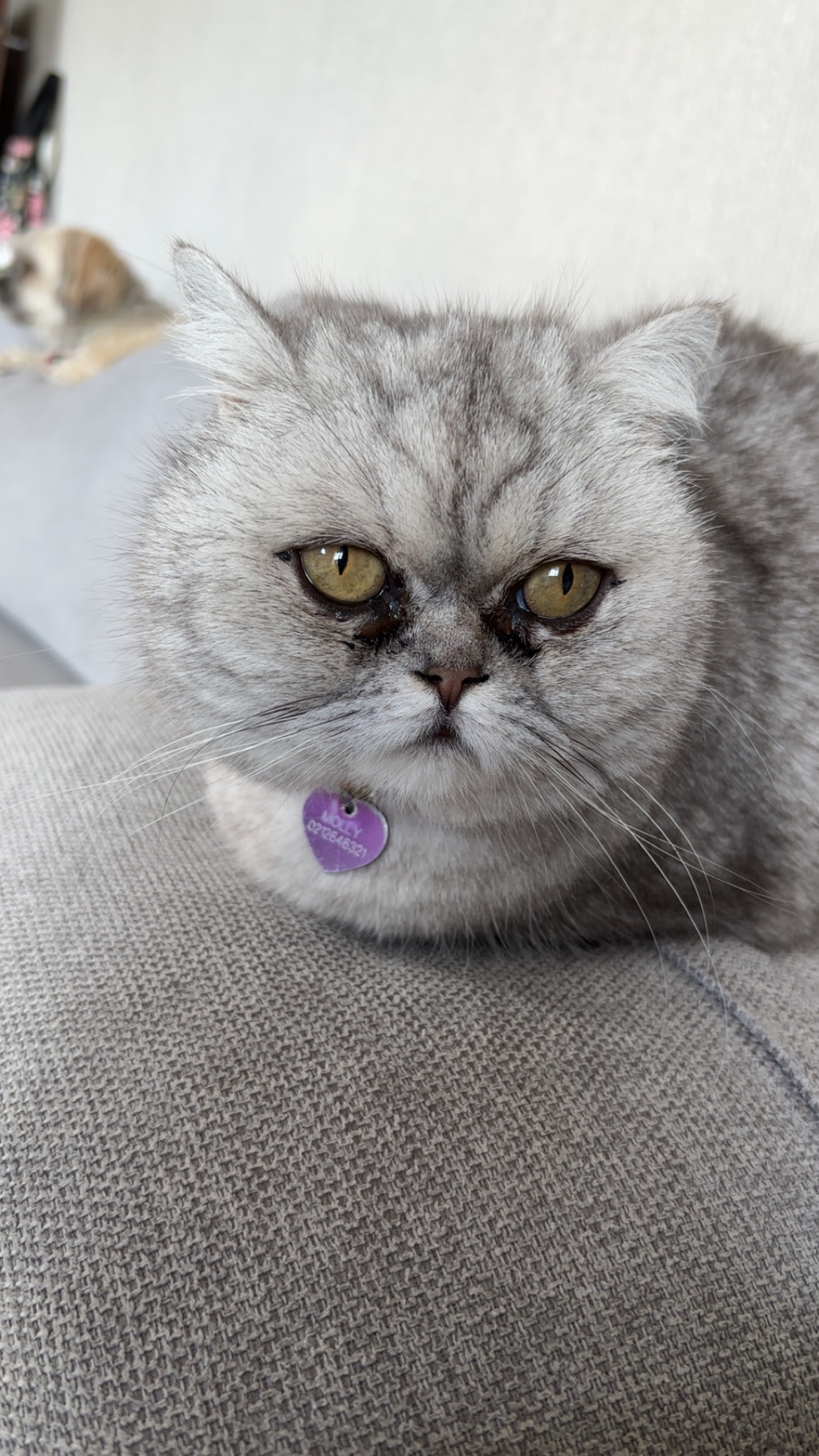 user avatar image for David b