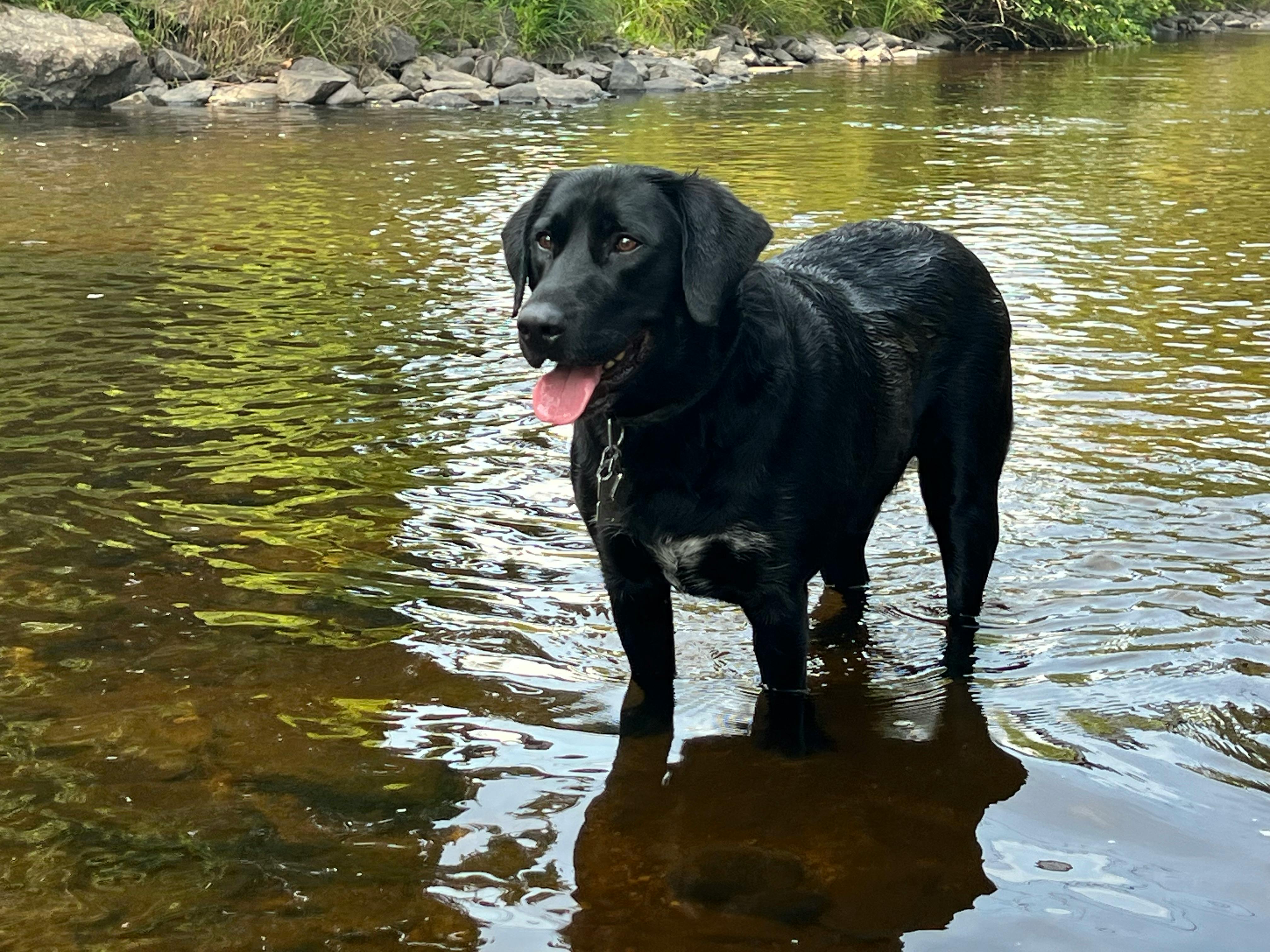 user avatar image for Alain Bezeau