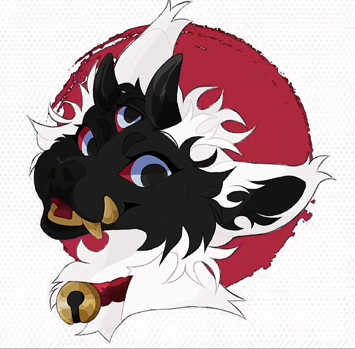user avatar image for Shelly