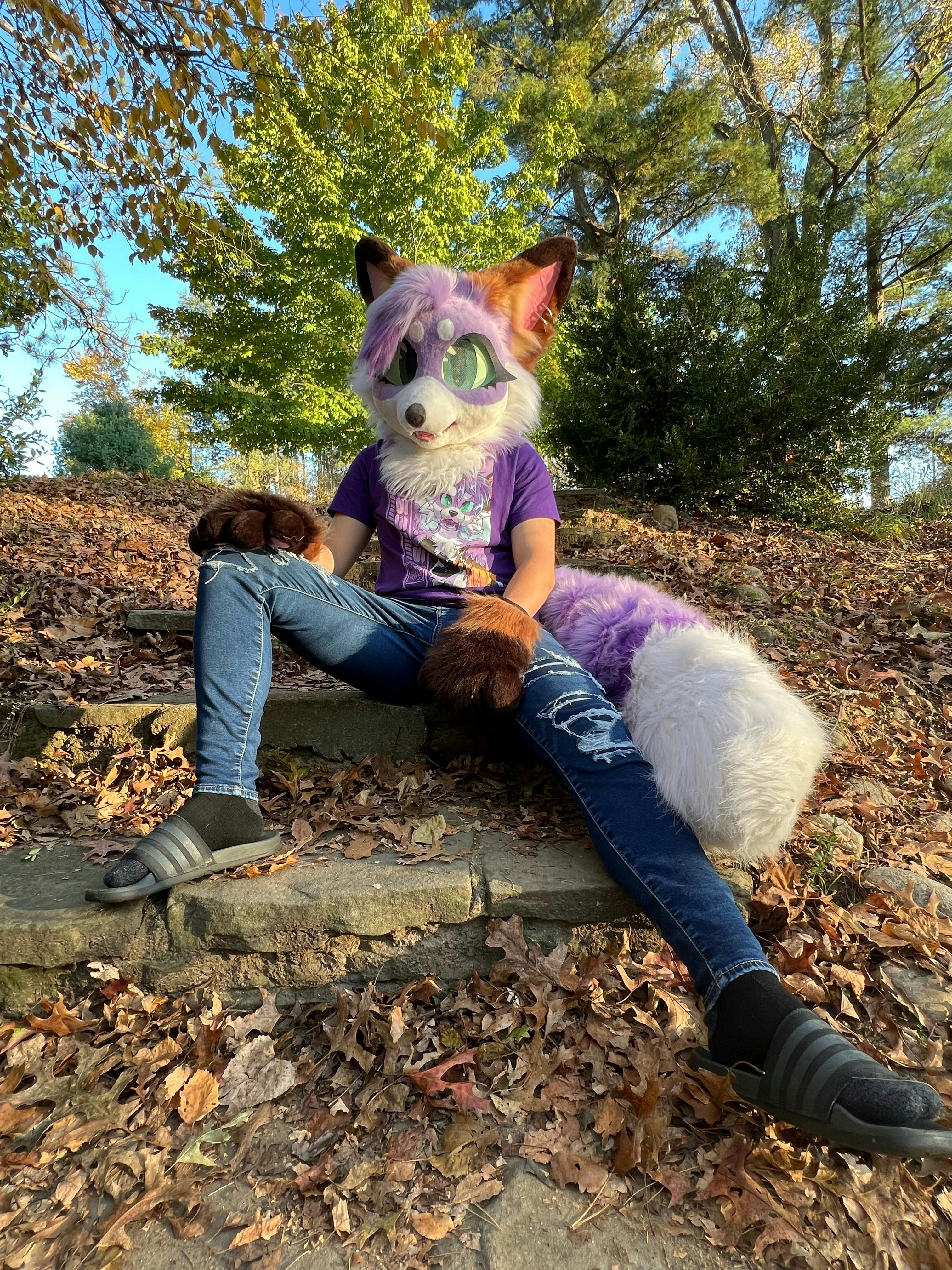 user avatar image for Jay