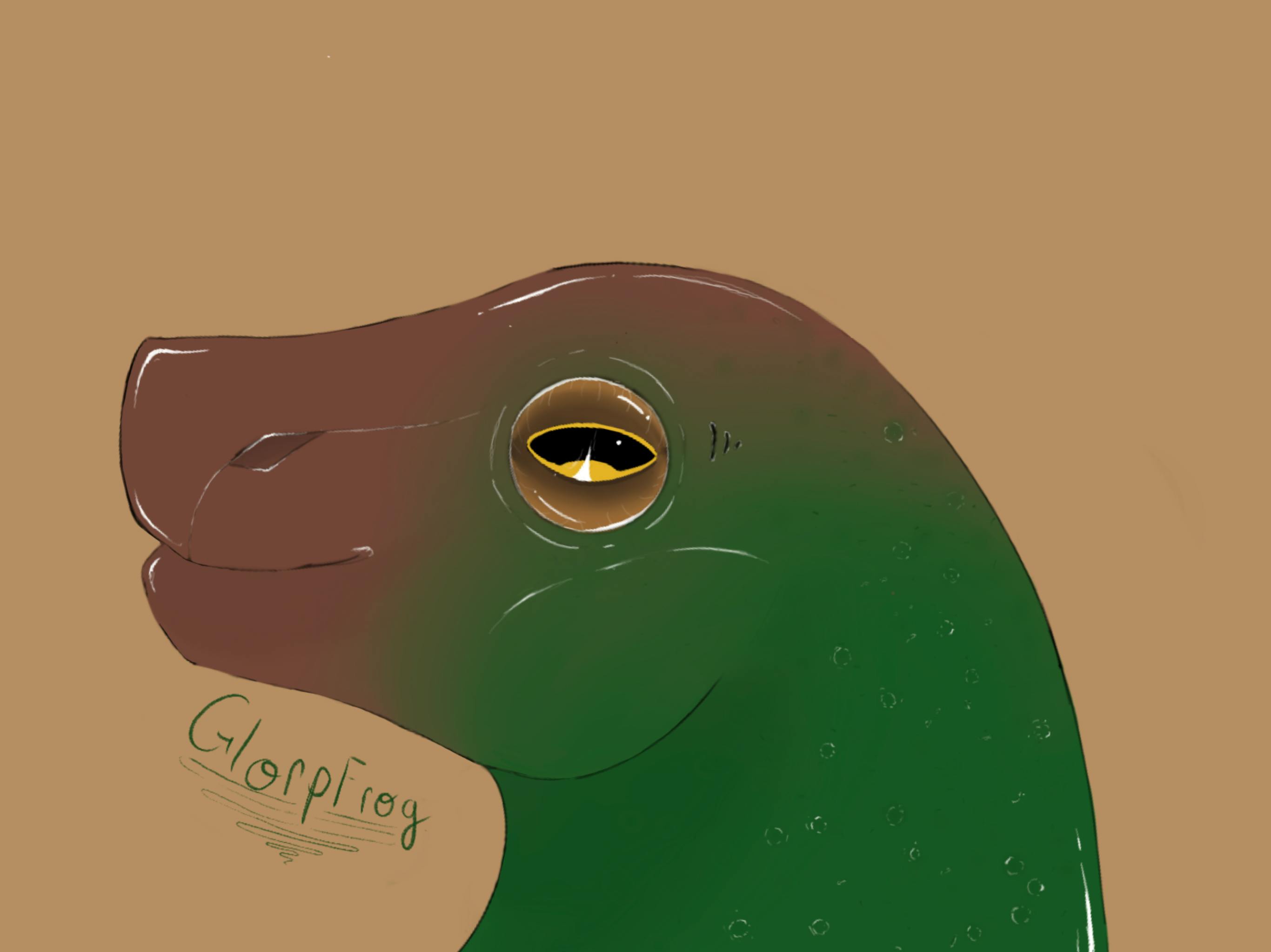 user avatar image for Chloe 